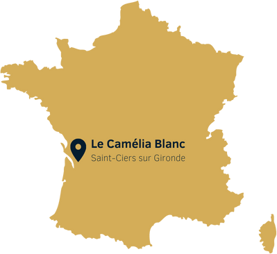 carte camélia blanc