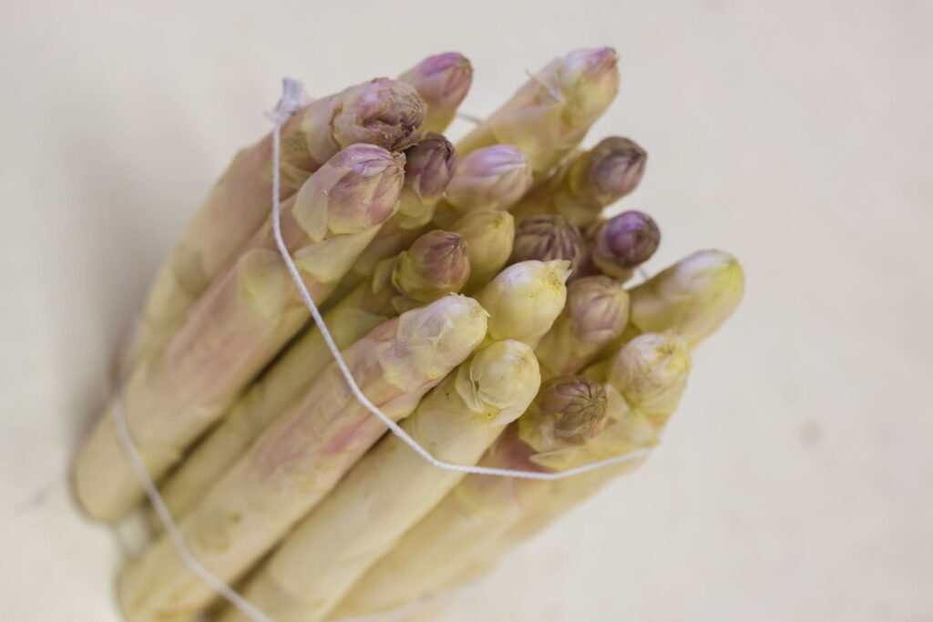 Spécialités culinaires de Gironde : Asperges de Blaye