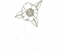 cropped logo milieu blanc.png