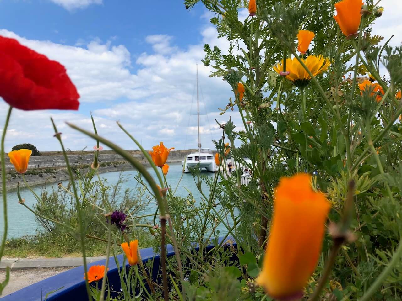 Ile D'oleron